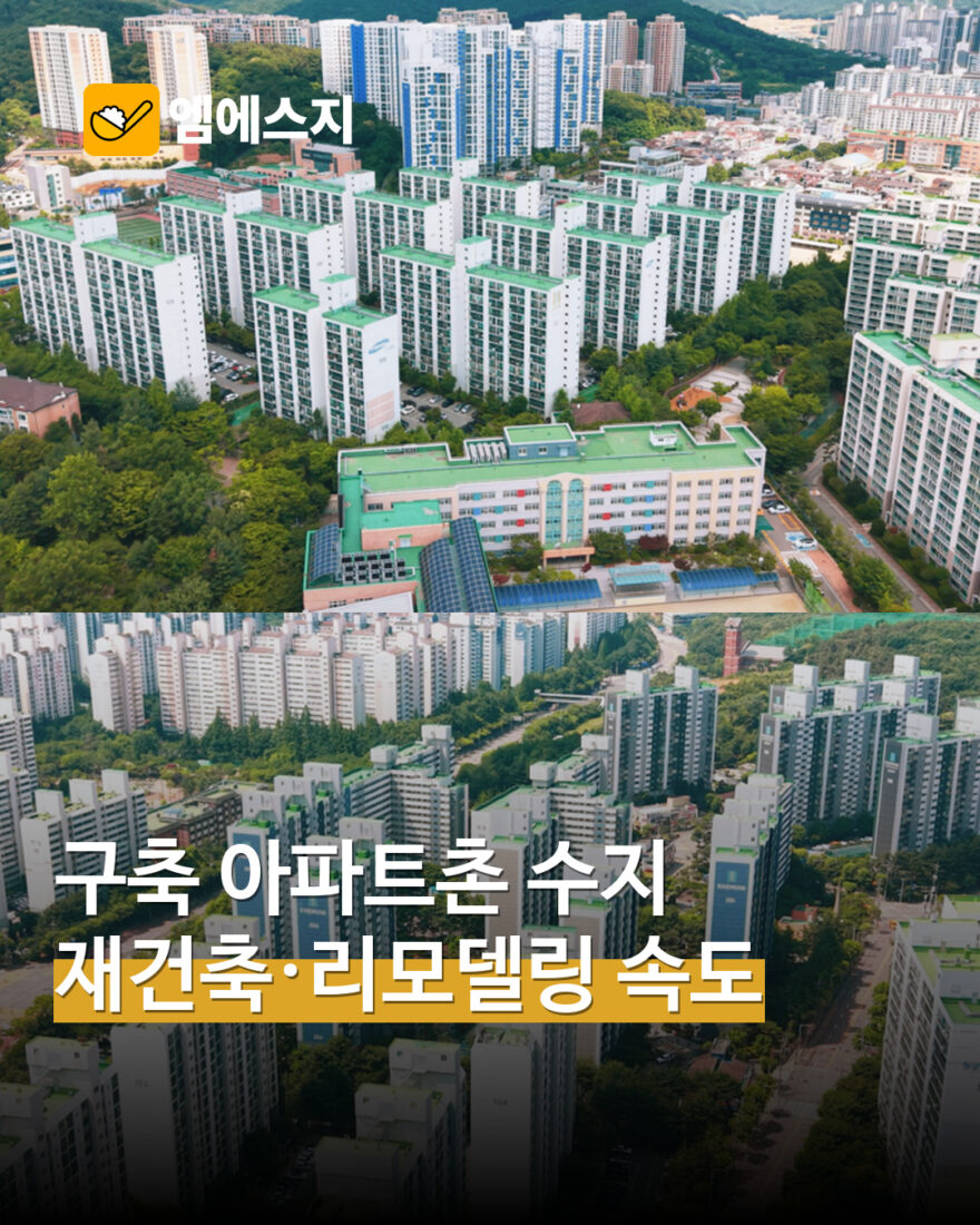 용인 수지 재건축 리모델링 현장 MSG뉴스 표지