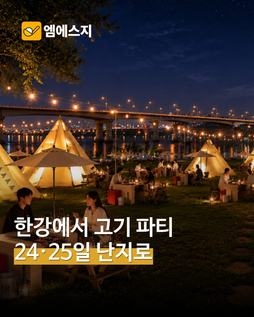 서울바비큐페스티벌 난지캠핑장 MSG뉴스 표지