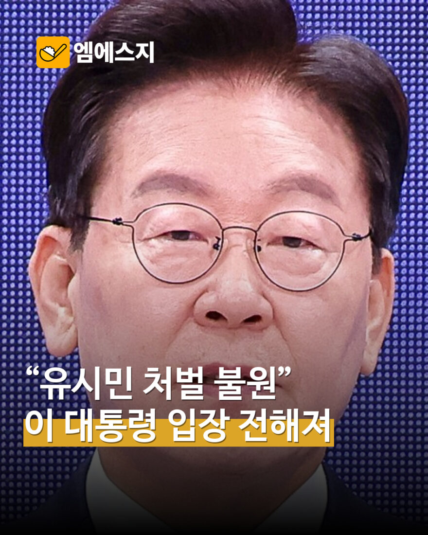 이 대통령 유시민 처벌 불원 의사 MSG뉴스 표지