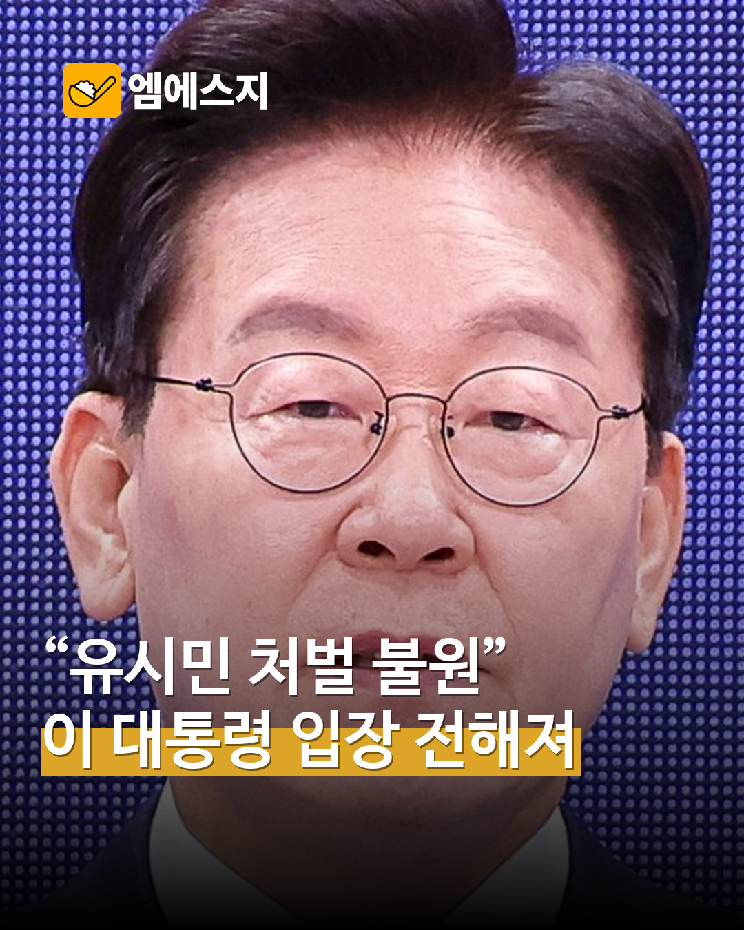 이 대통령 유시민 처벌 불원 의사 MSG뉴스 표지