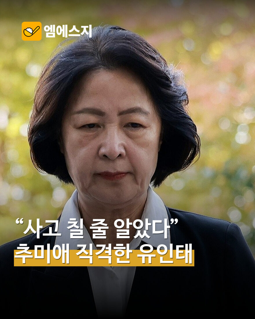 유인태 추미애 소방 재정 발언 비판 MSG뉴스 표지