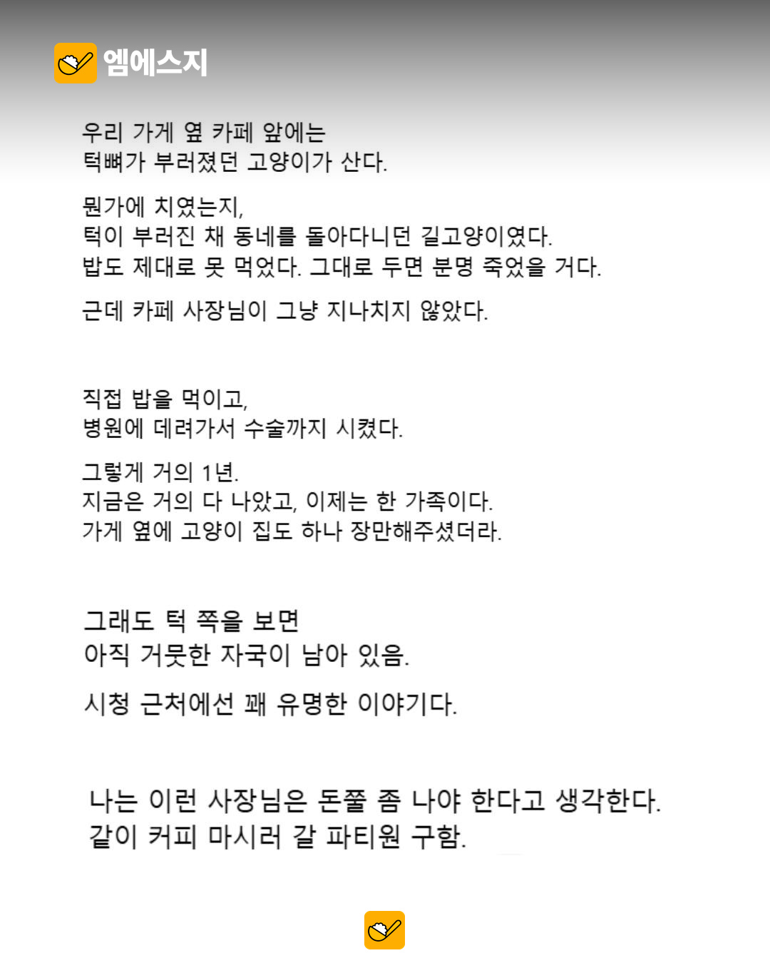 “라떼 5잔, 만들지 마세요”…길고양이 살린 울산 카페에 도착한 감사 주문 2 길고양이 구조와 돌봄 과정을 전하는 사연