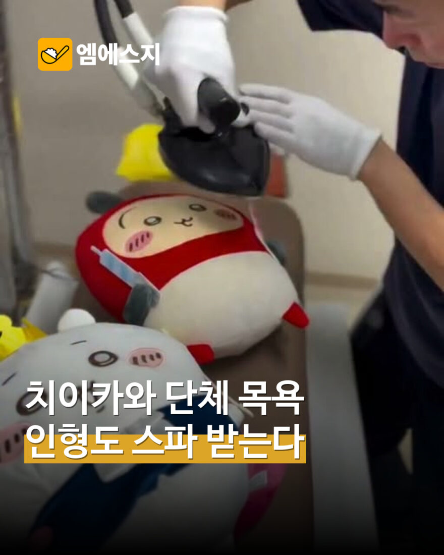 일본 클리닝403의 실제 인형 스팀 세탁 장면