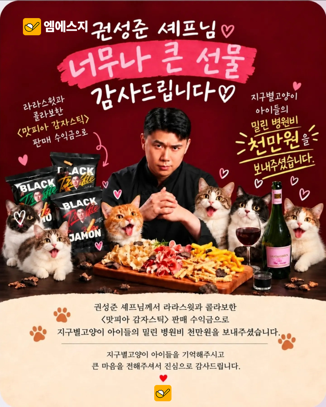 나폴리맛피아 권성준, 유기묘 병원비 기부…쉼터가 전한 감사 2 지구별고양이의 실제 감사 안내
