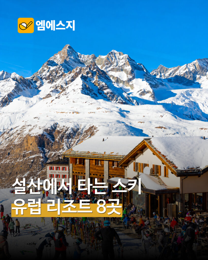 알프스 실제 스키 리조트 전경
