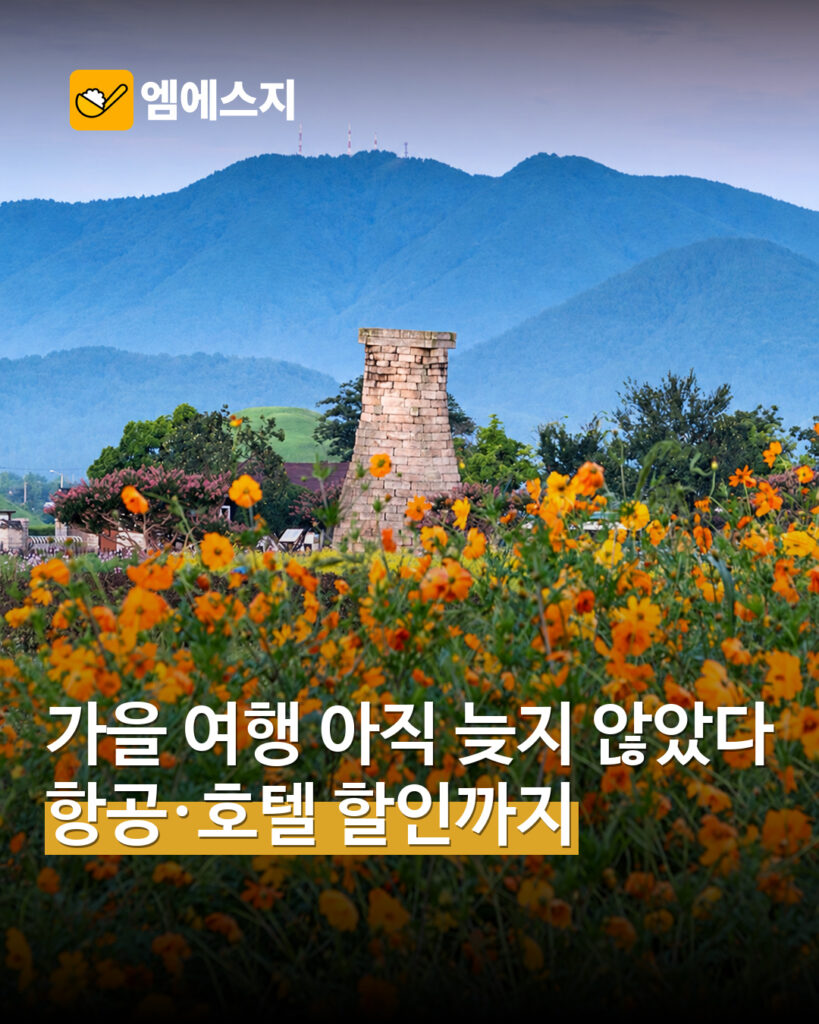경주 첨성대와 가을꽃 실제 풍경