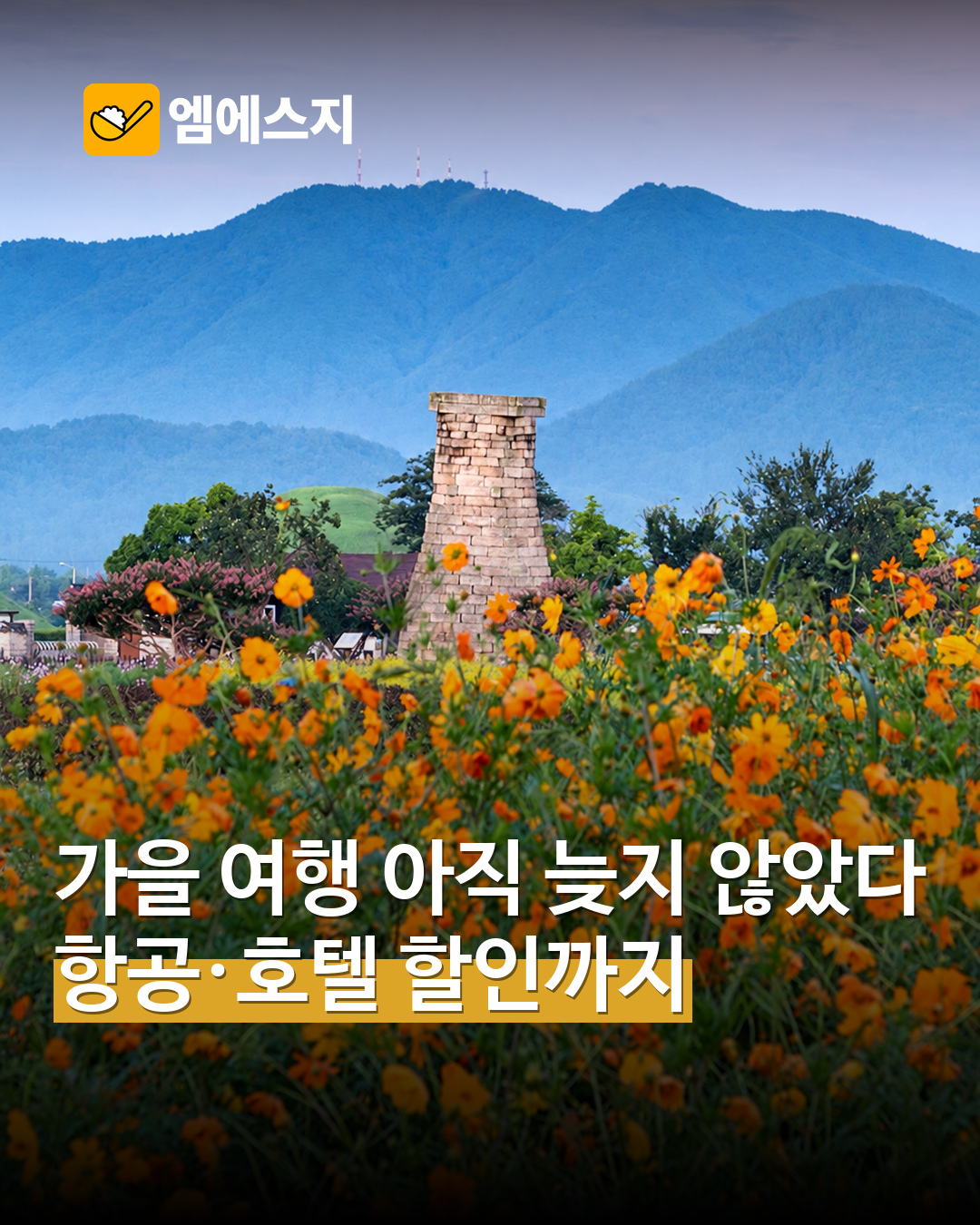 경주 첨성대와 가을꽃 실제 풍경