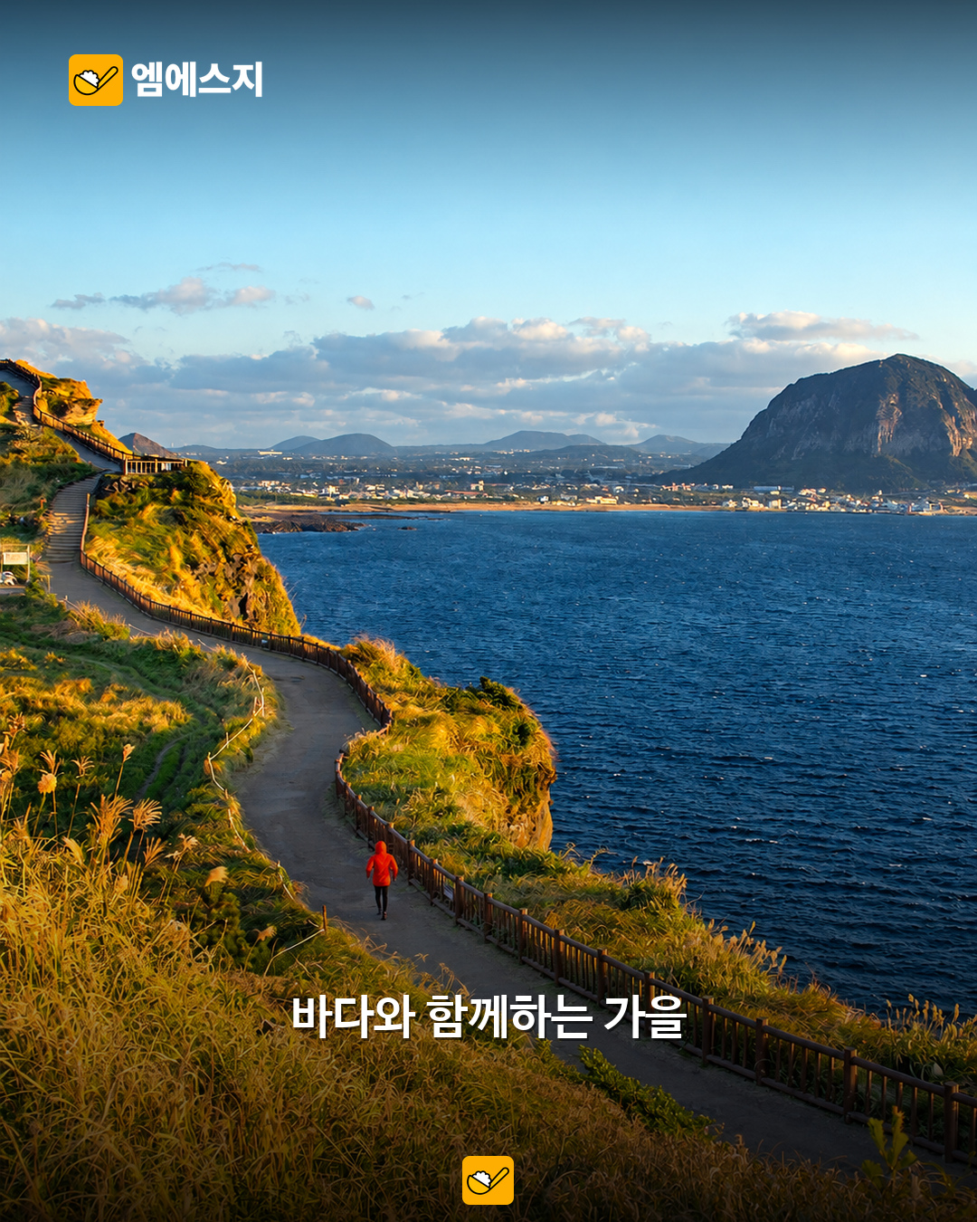 제주·부산 바다부터 경주·전주 거리까지…늦가을 국내 여행 준비 2 제주 해안 실제 풍경