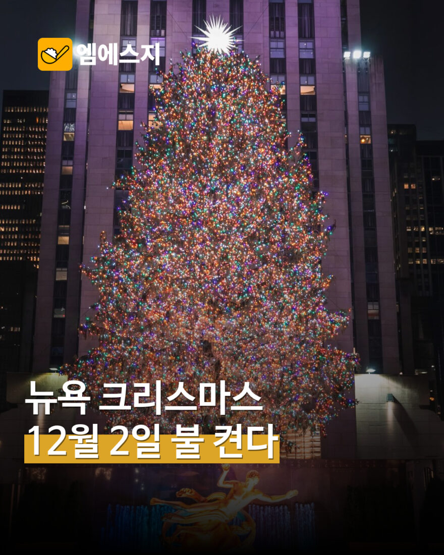 뉴욕 록펠러센터 크리스마스트리, 11월 7일 도착·12월 2일 점등 예정