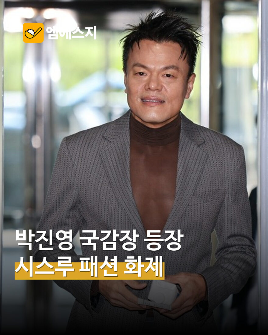 국감장에 회색 재킷·시스루 상의…박진영의 옷차림에 쏠린 시선