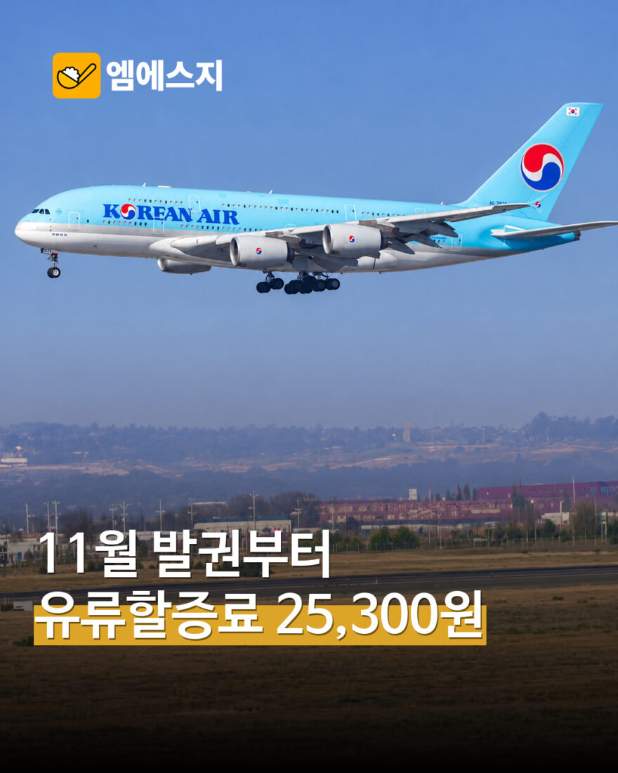 국내선 유류할증료 11월 발권부터 2만5300원…10월보다 편도 4400원 올라