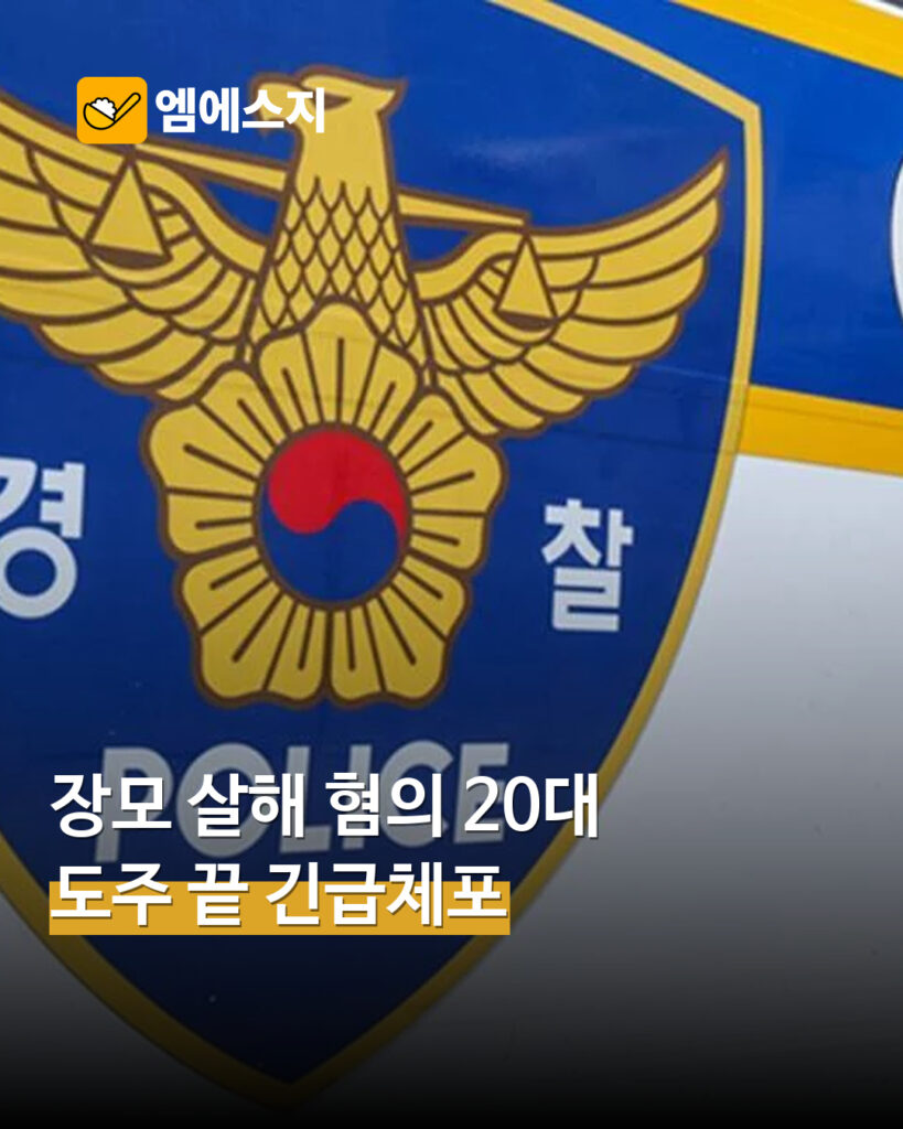 장모 살해 혐의 20대 남성 긴급체포…함께 있던 아내는 안전 확인