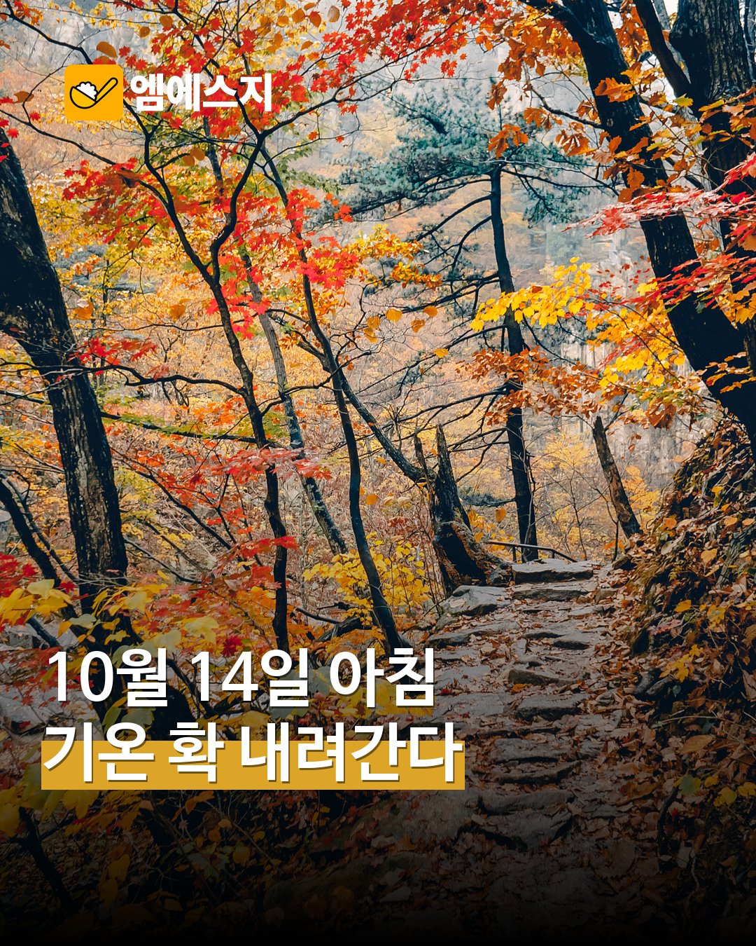 10월 14일 아침 기온 낮아질 전망…12일 예보 전국 최저 5~14℃ — MSG뉴스 표지