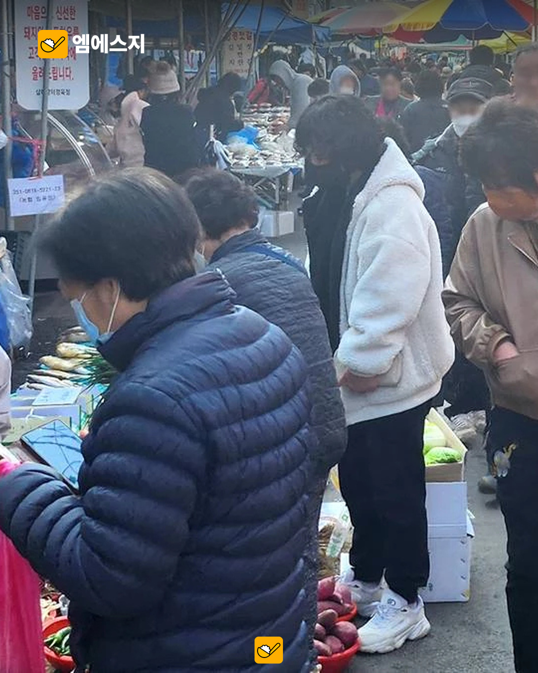 전주 종량제 봉투 가격 조정 검토 관련 이미지 1