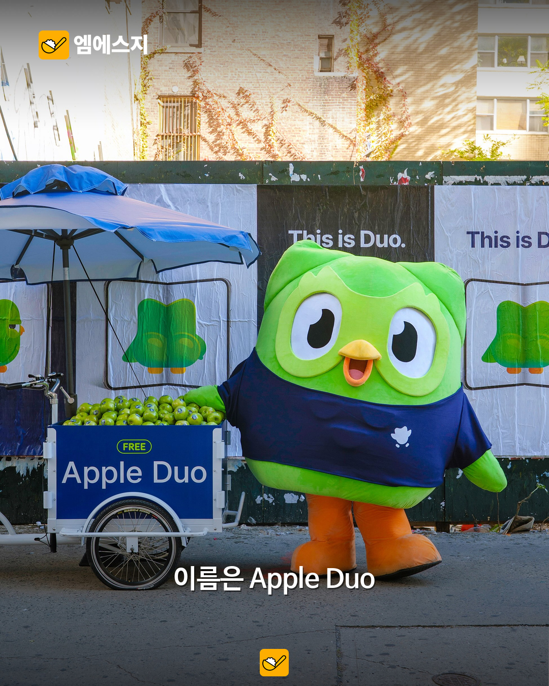 캠페인 카트와 듀오