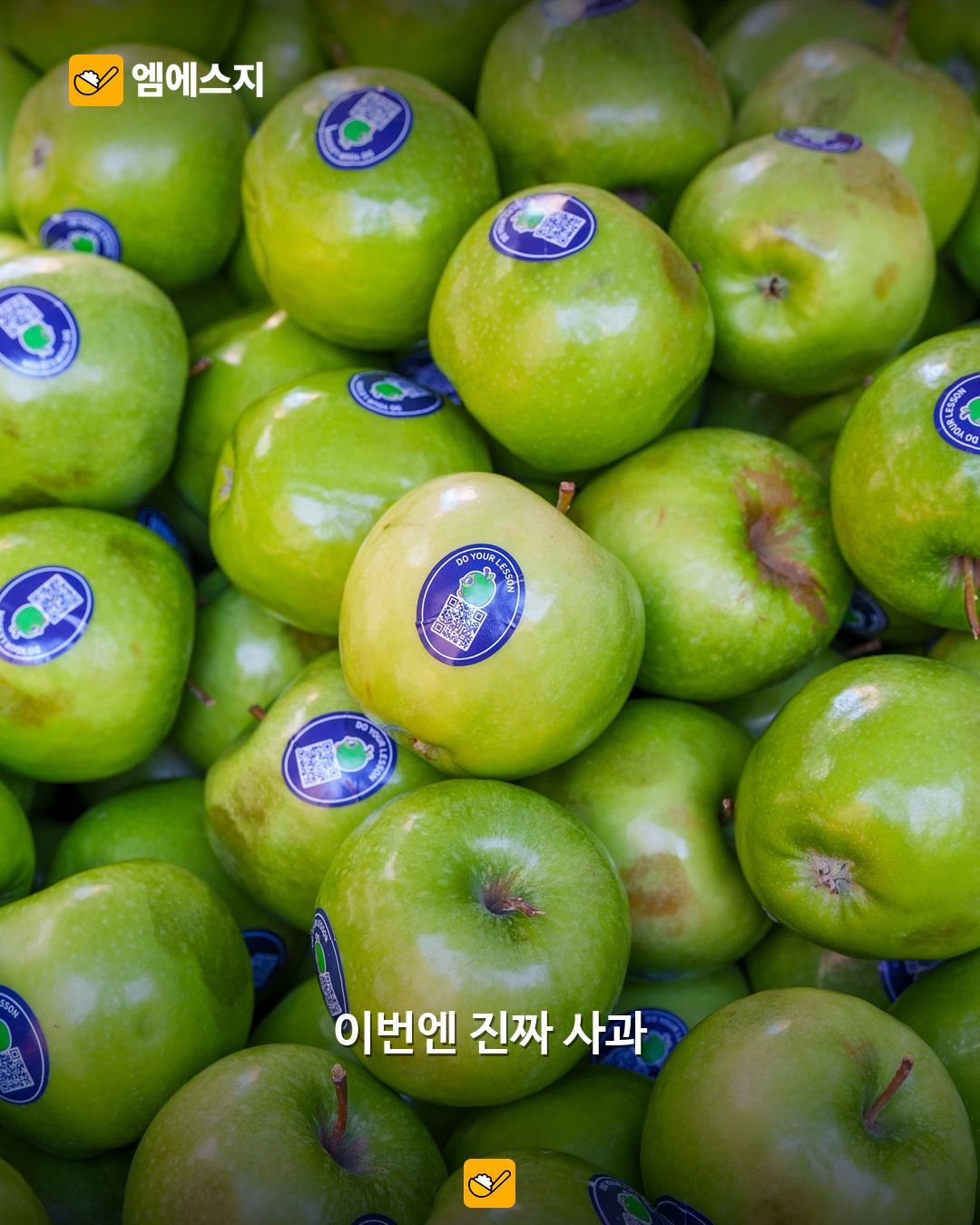 배포한 초록 사과