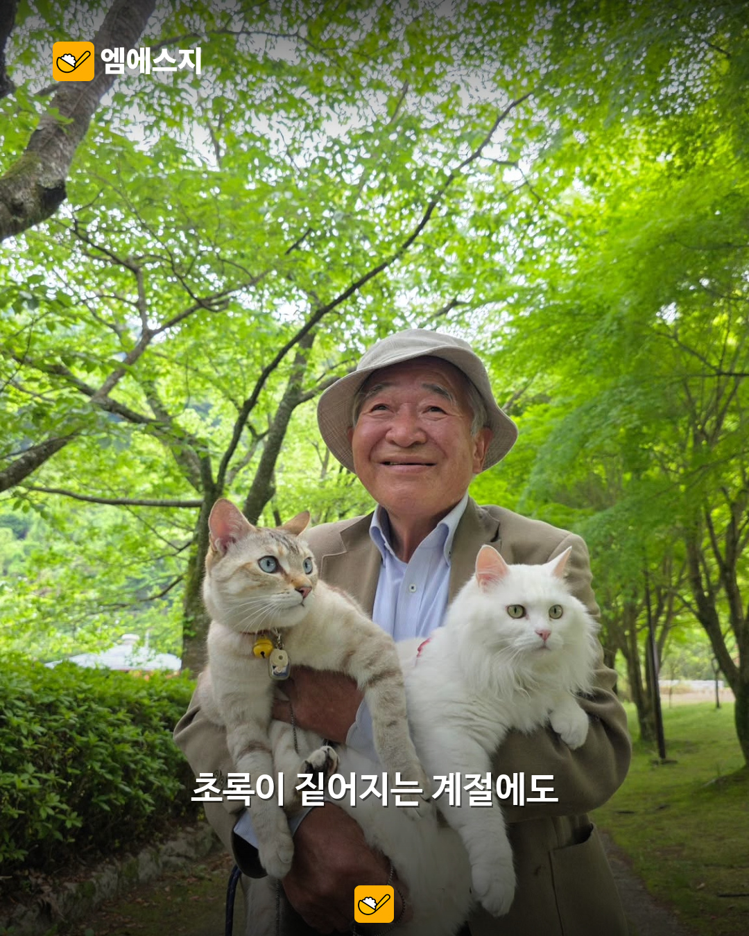 숲길에서 고양이를 안은 할아버지