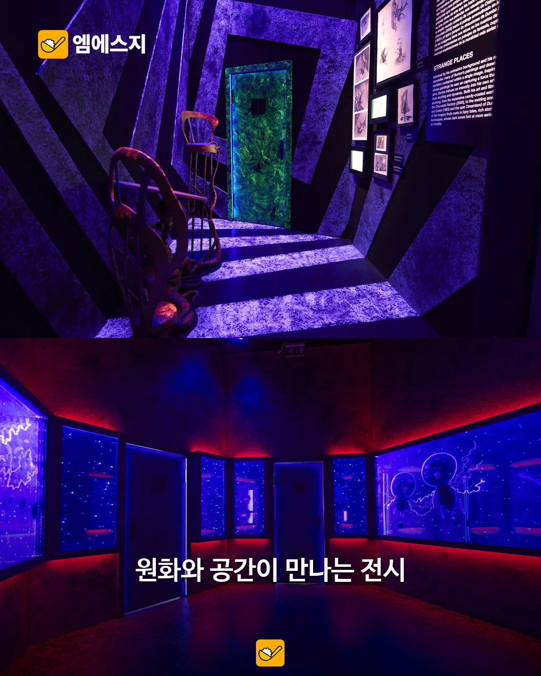 서로 다른 두 실제 전시 공간