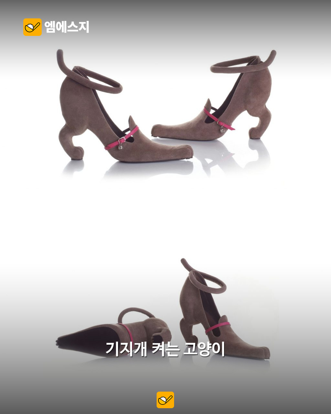 고양이 신발의 서로 다른 각도