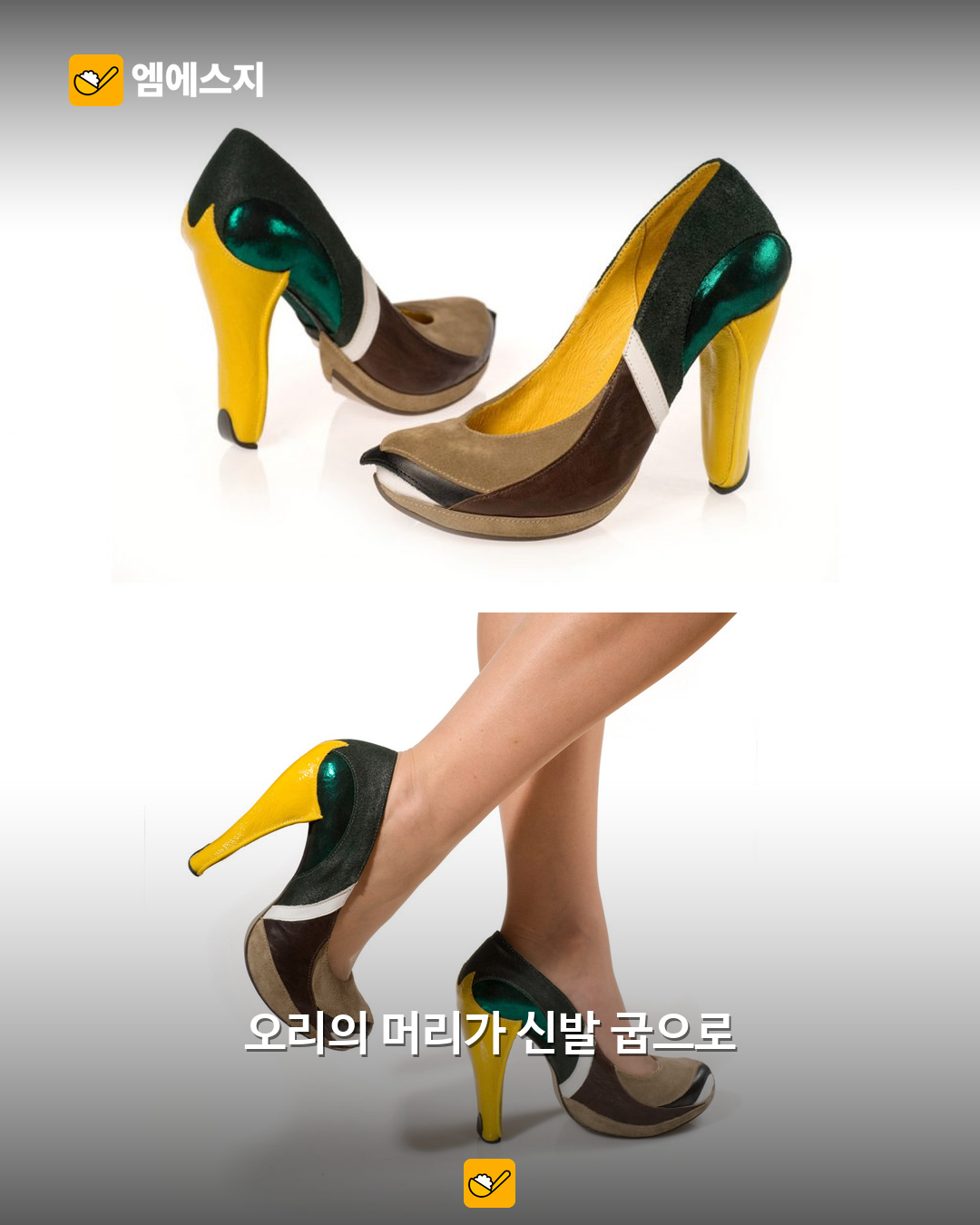 청둥오리 신발과 착용 모습