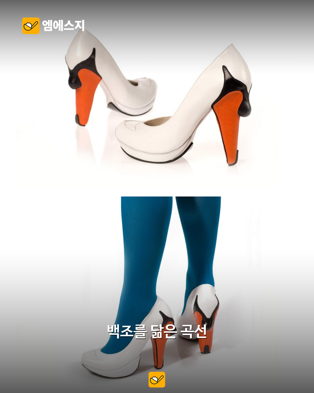 백조 신발과 착용 모습