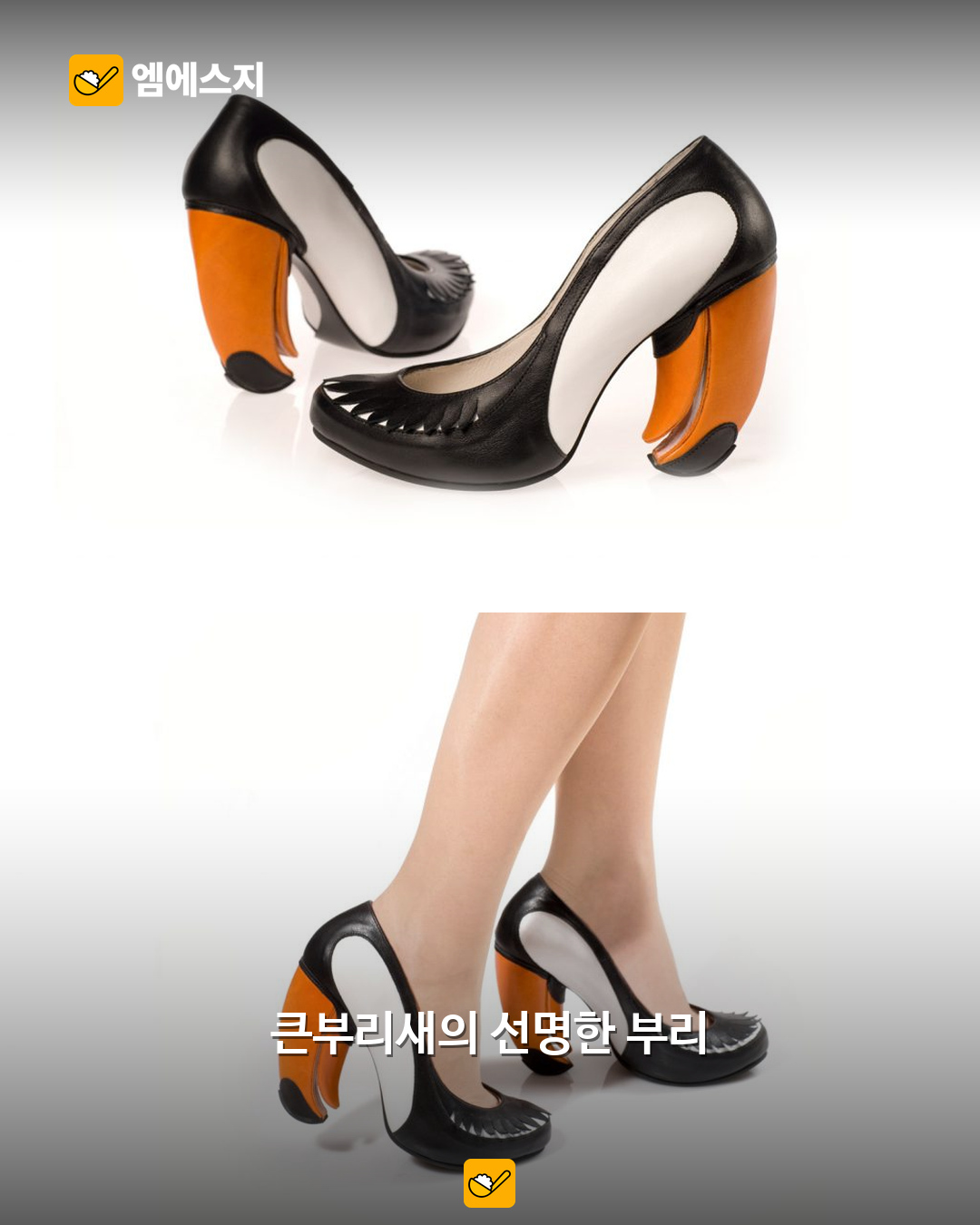 큰부리새 신발과 착용 모습