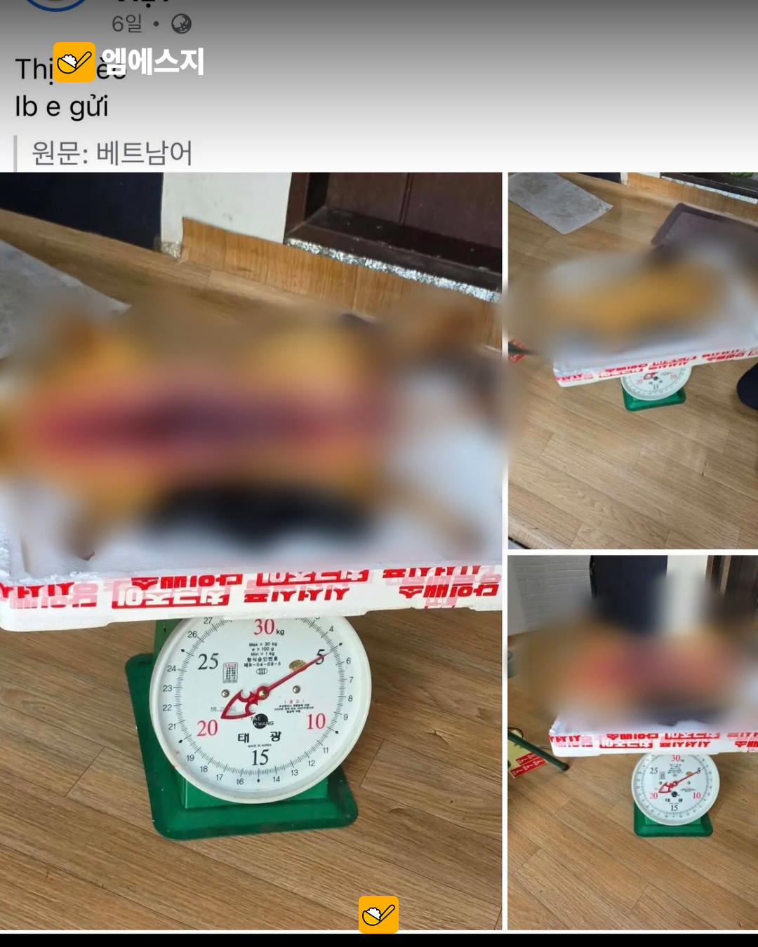 논란의 온라인 판매 의심 게시물 캡처. 원문의 가림 유지