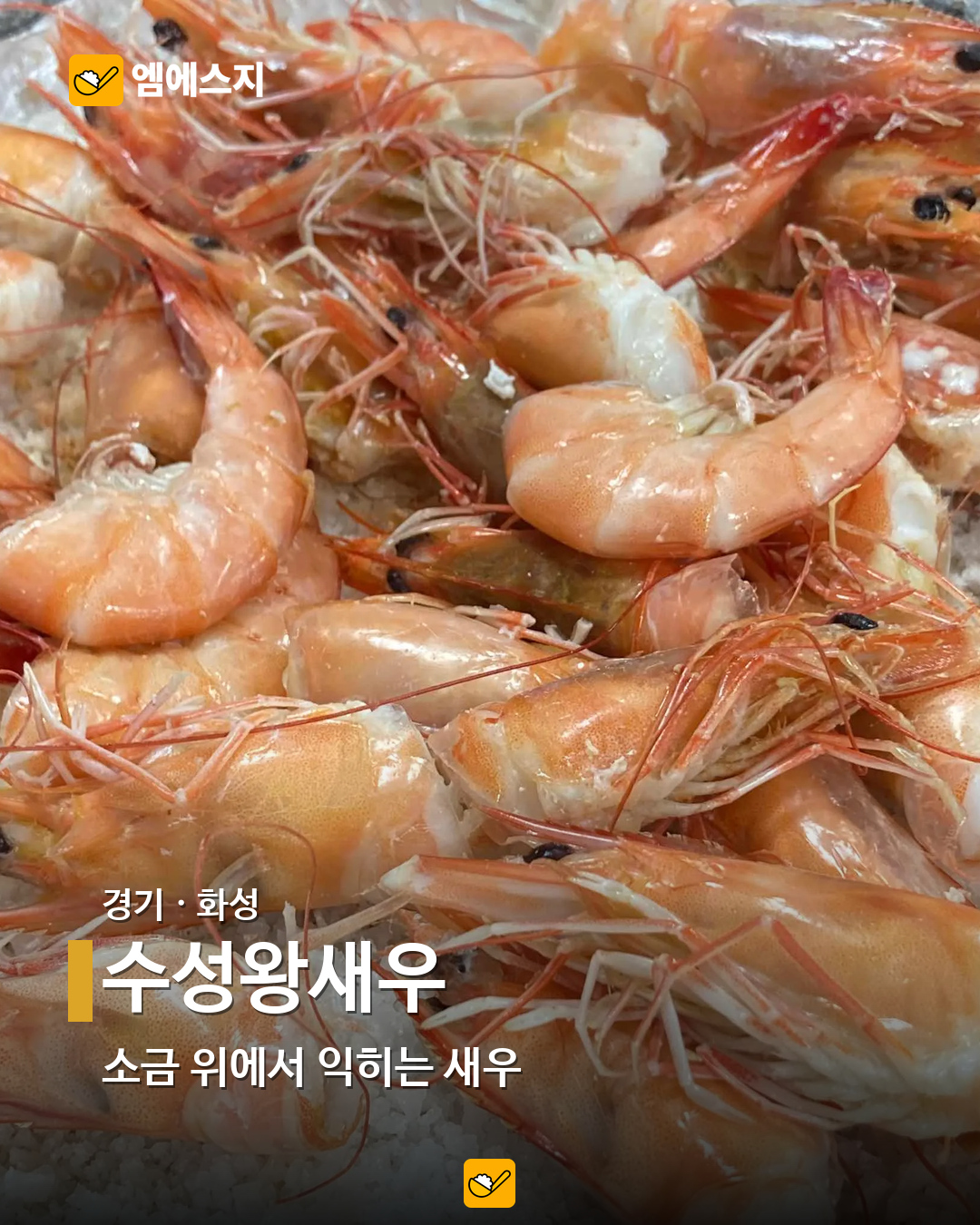 소금구이부터 버터구이까지…전국 새우 음식점 19곳 모음 11 수성왕새우 실제 사진
