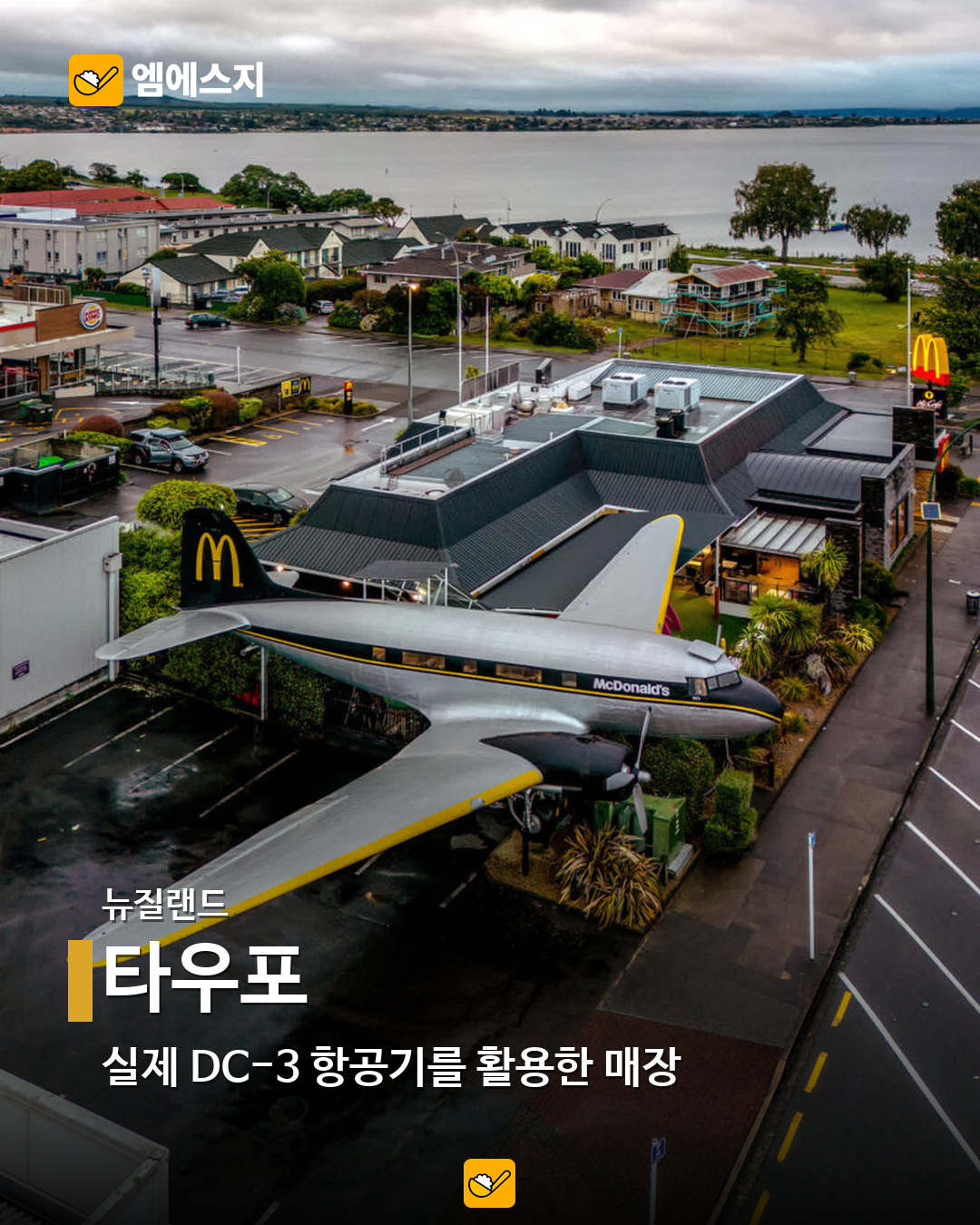 타우포 실제 사진