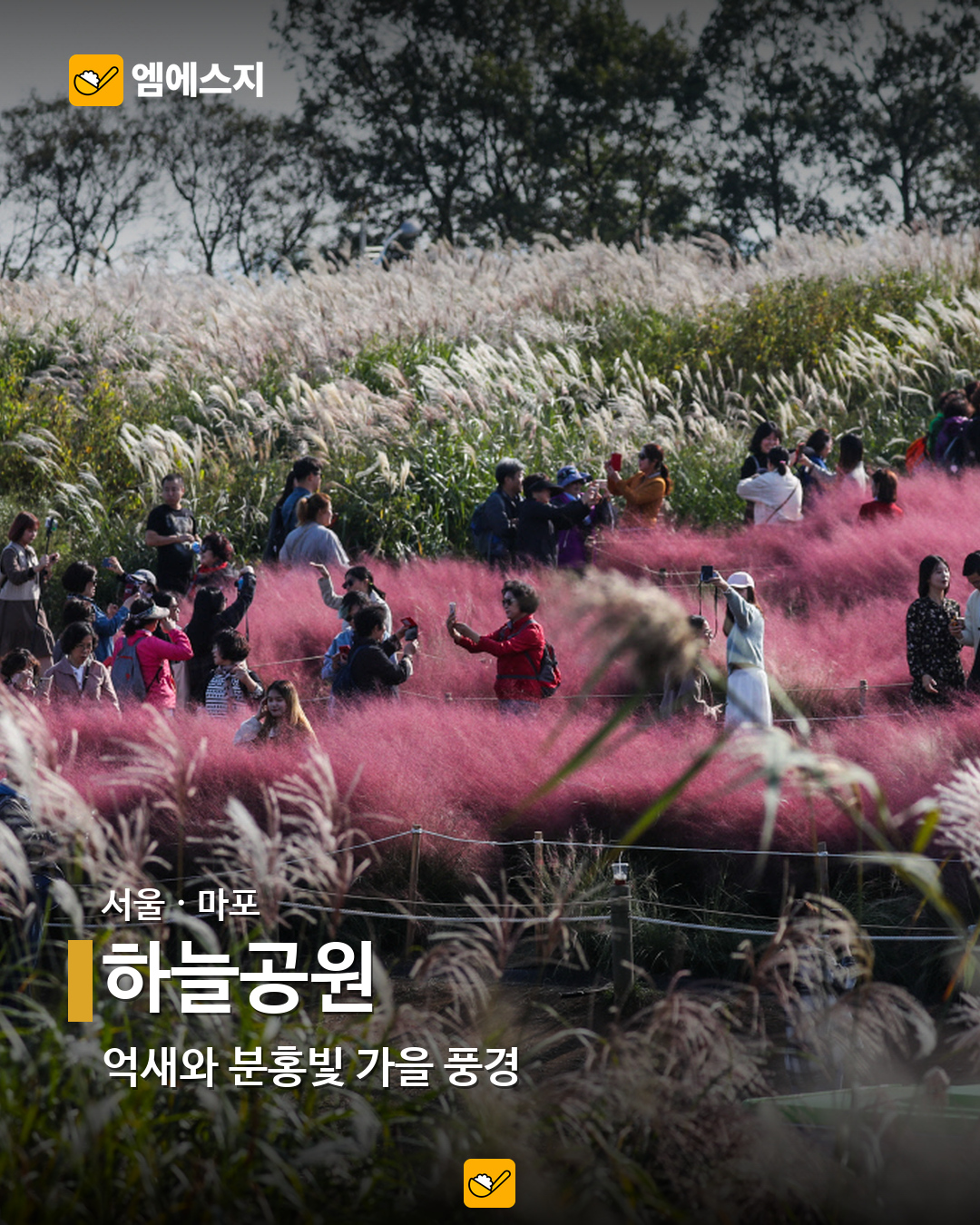 하늘공원 실제 사진