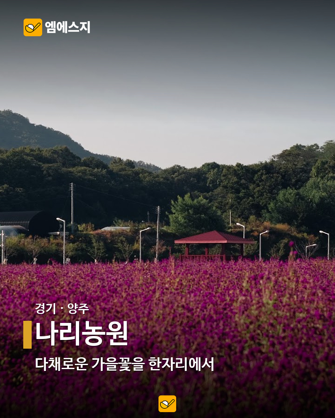 나리농원 실제 사진