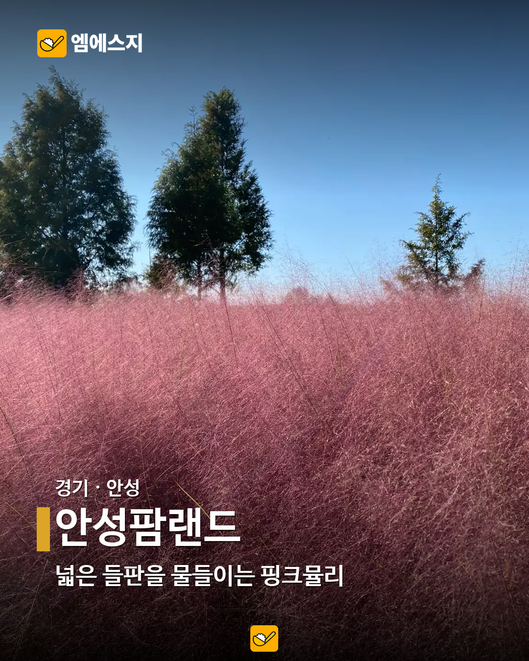 안성팜랜드 실제 사진