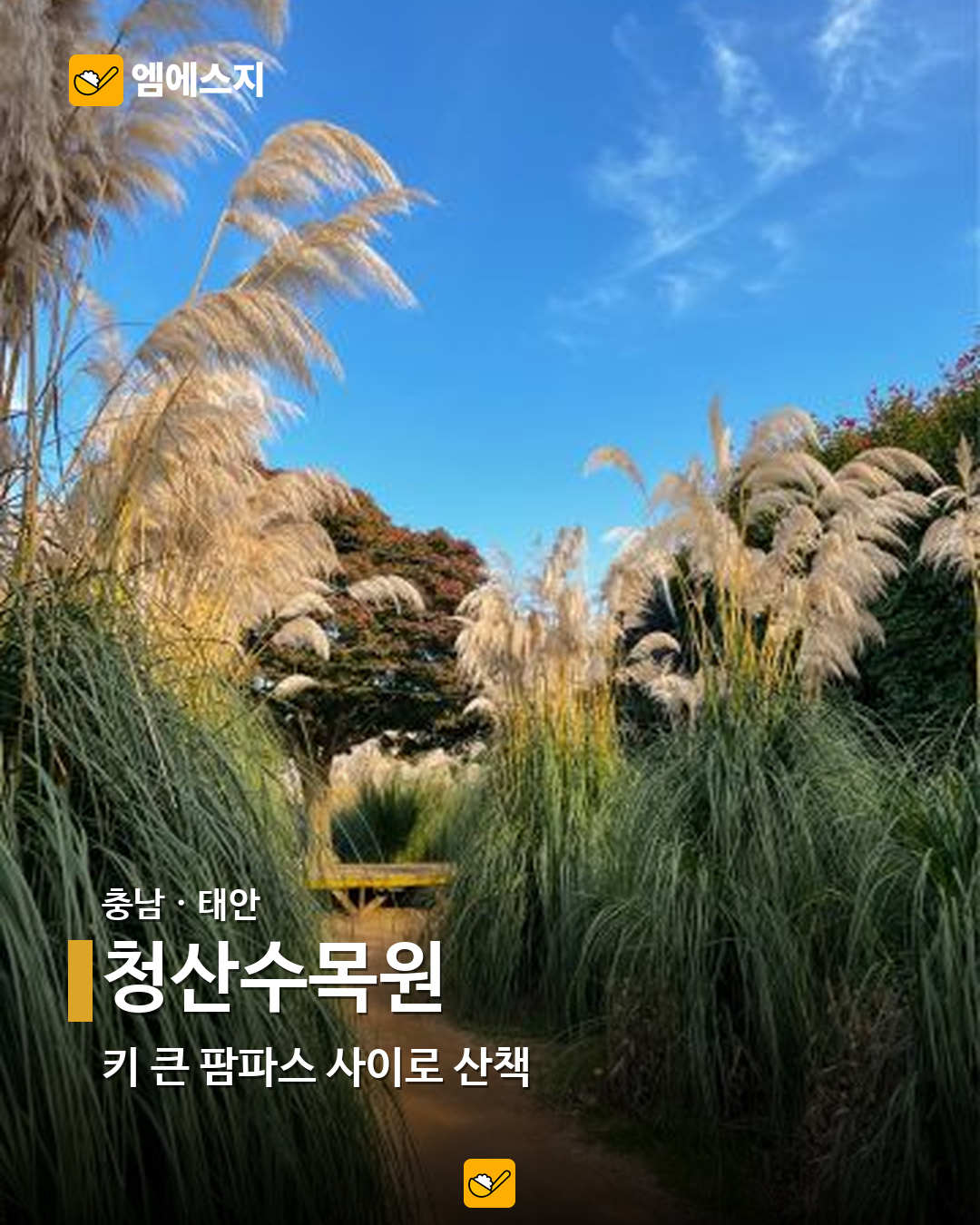 청산수목원 실제 사진