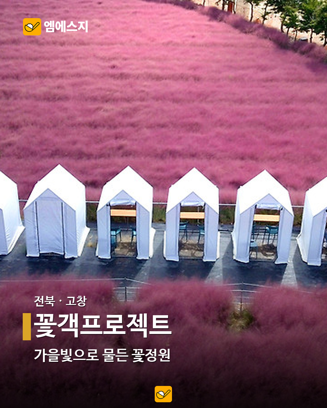 꽃객프로젝트 실제 사진