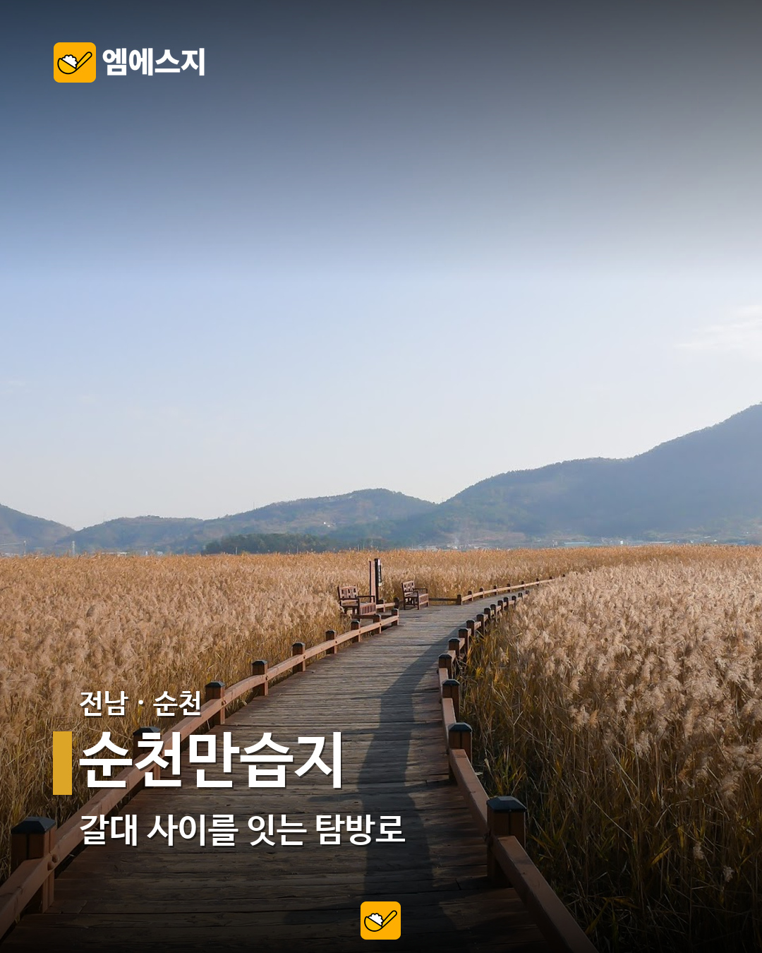순천만습지 실제 사진