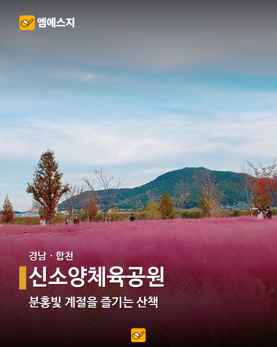 신소양체육공원 실제 사진