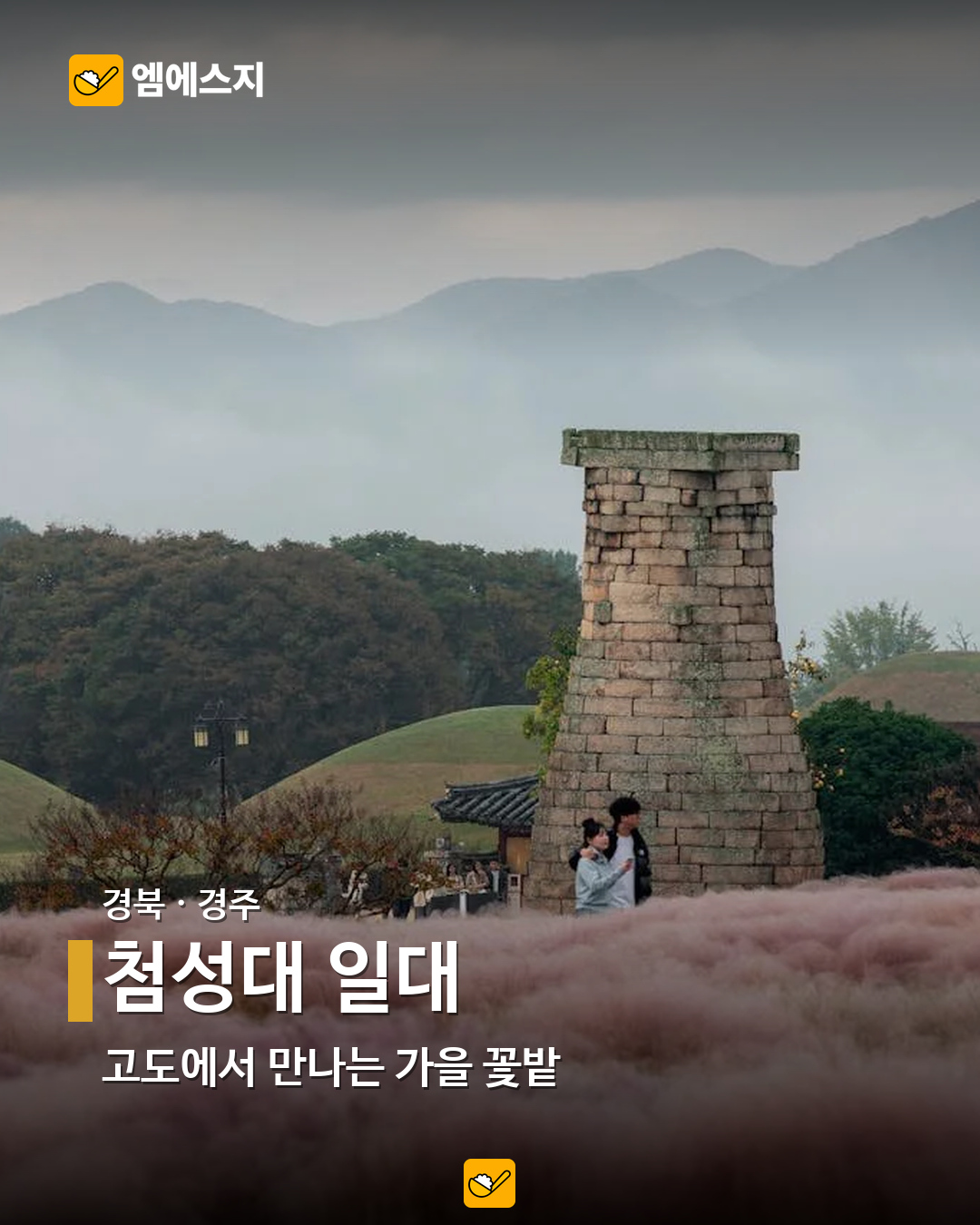 첨성대 일대 실제 사진