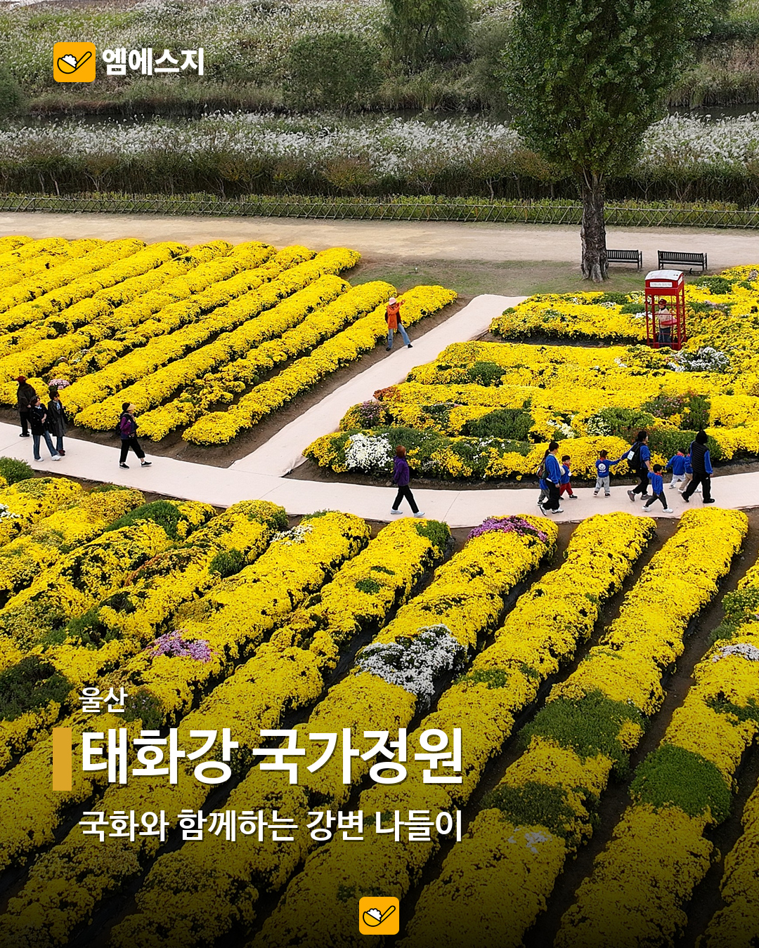 태화강 국가정원 실제 사진