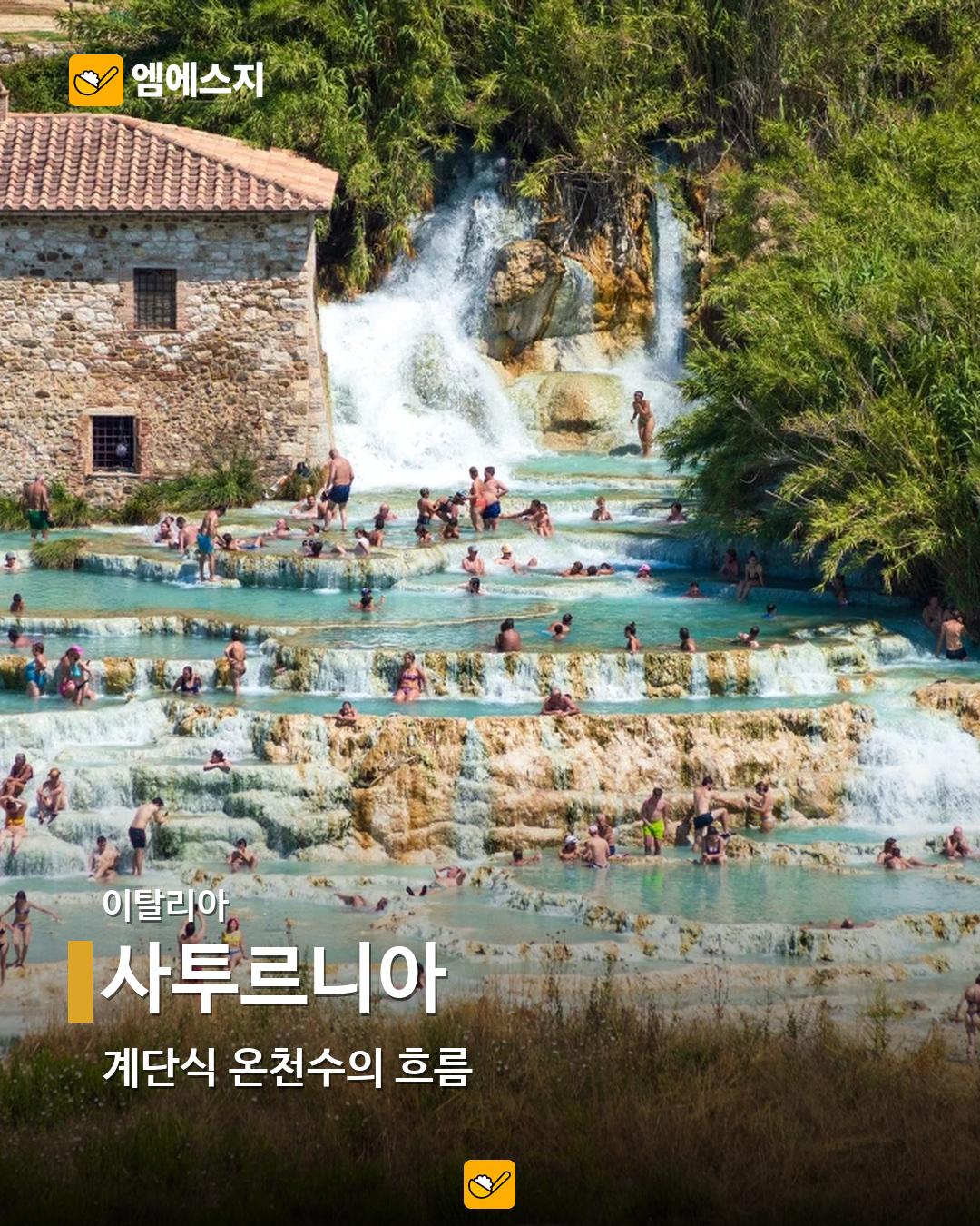 사투르니아 실제 사진