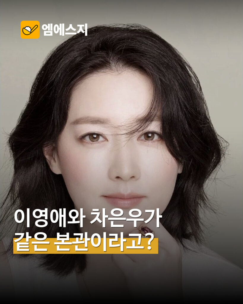 이영애 실제 프로필 자료사진
