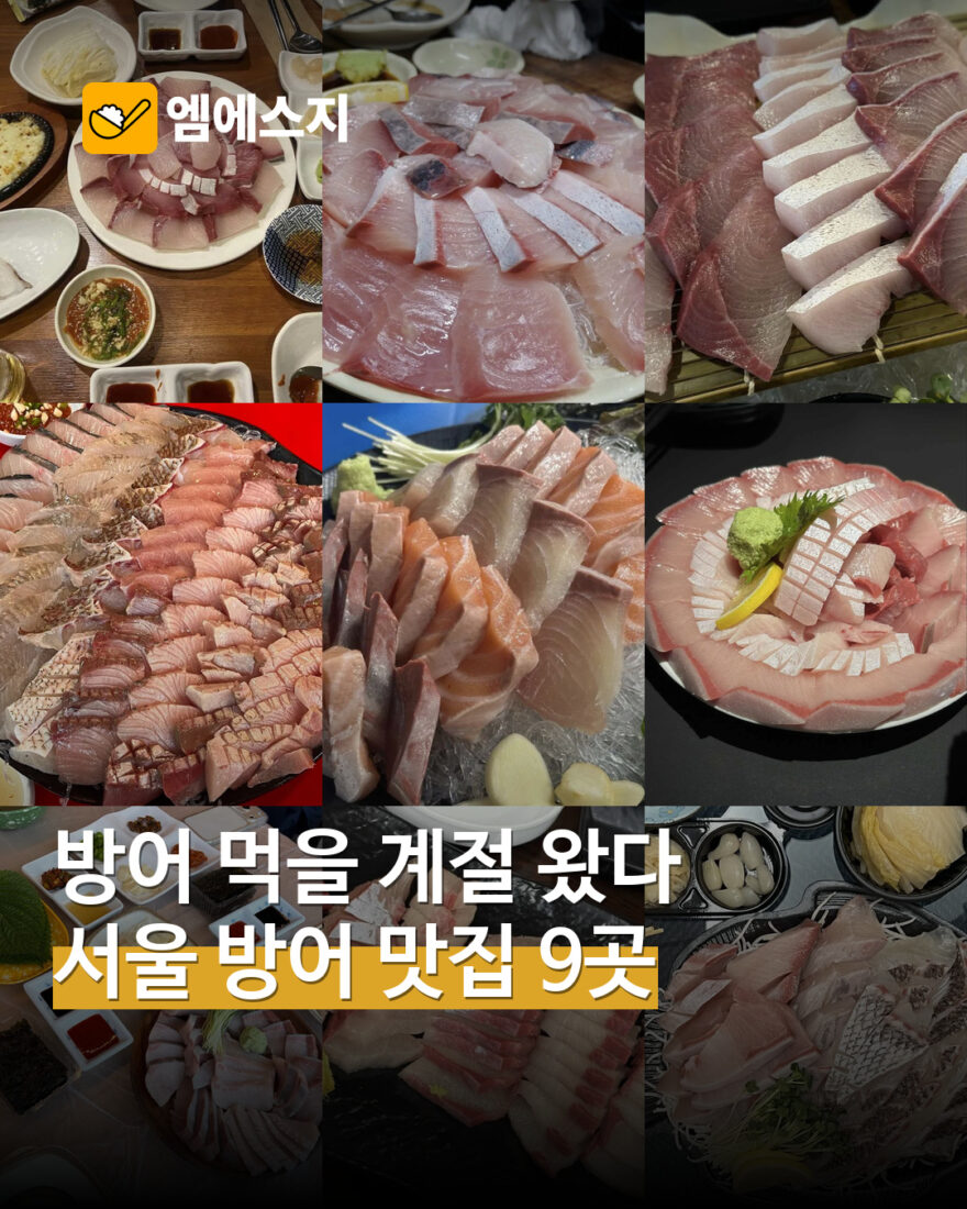 9개 실제 방어 맛집의 메뉴 사진 모음