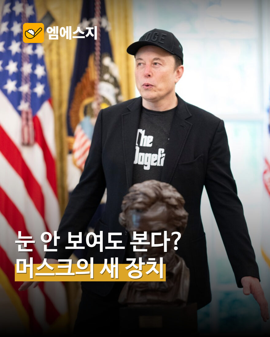 뉴럴링크 블라인드사이트 개발…혁신의료기기 지정과 치료 승인은 별개 MSG 표지