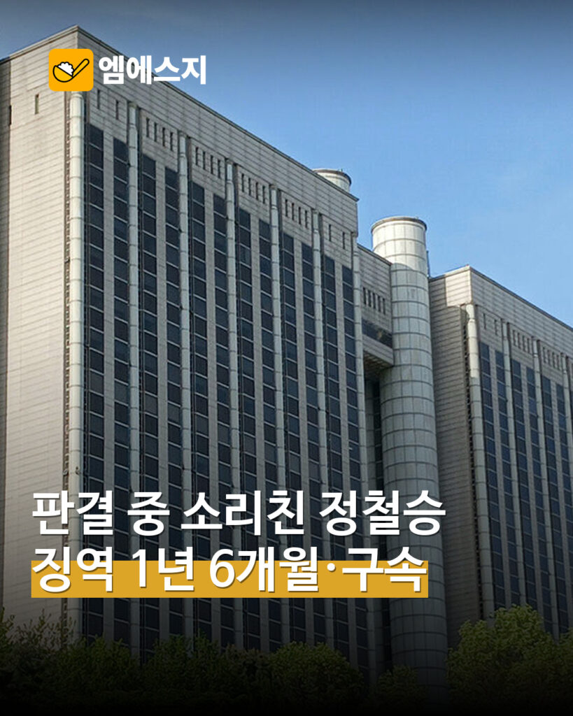 정철승 항소심 징역 1년 6개월·법정구속 보도…확정판결과 구분 MSG 표지