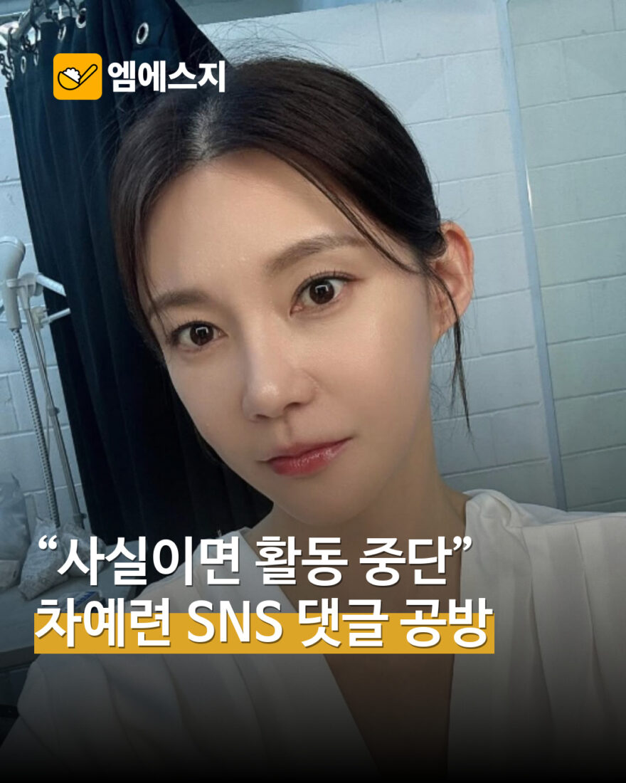 차예련 의혹 부인 이후 SNS 댓글 공방…사실관계는 확인 필요 MSG 표지